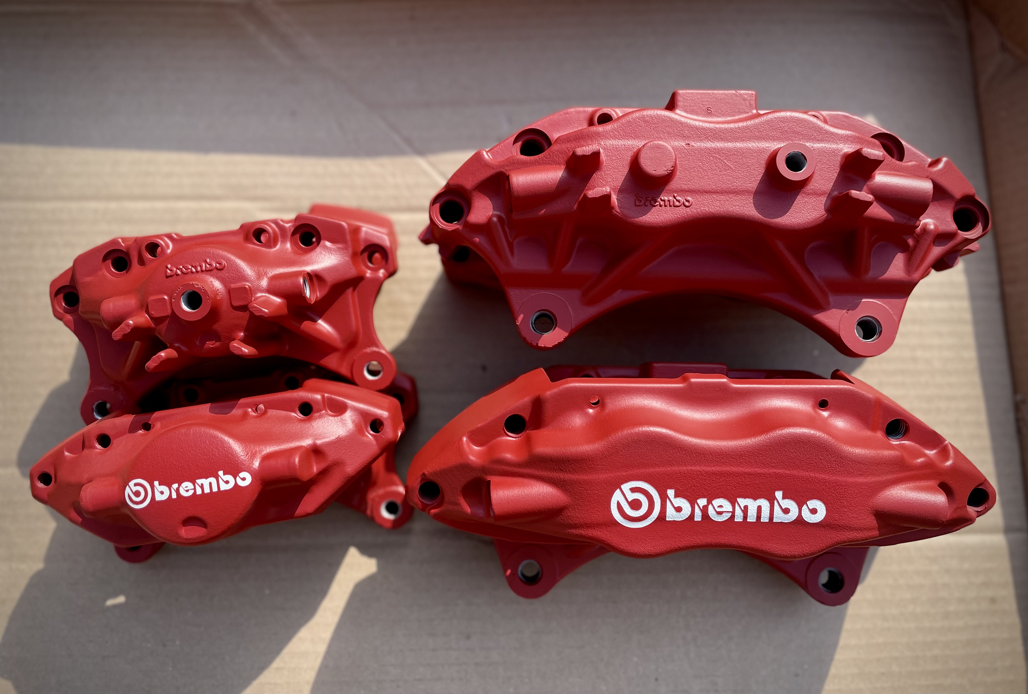 Brembo calipers in White and red cerakote. Stencilled on logo